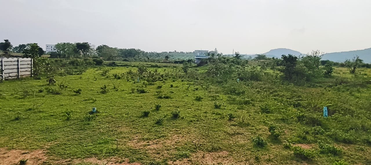 Near adarsha College Maliboyan Palii Jadcherla