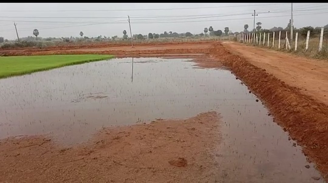 Land for sale urgent