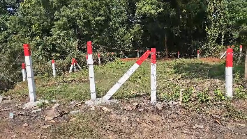 Open Plot