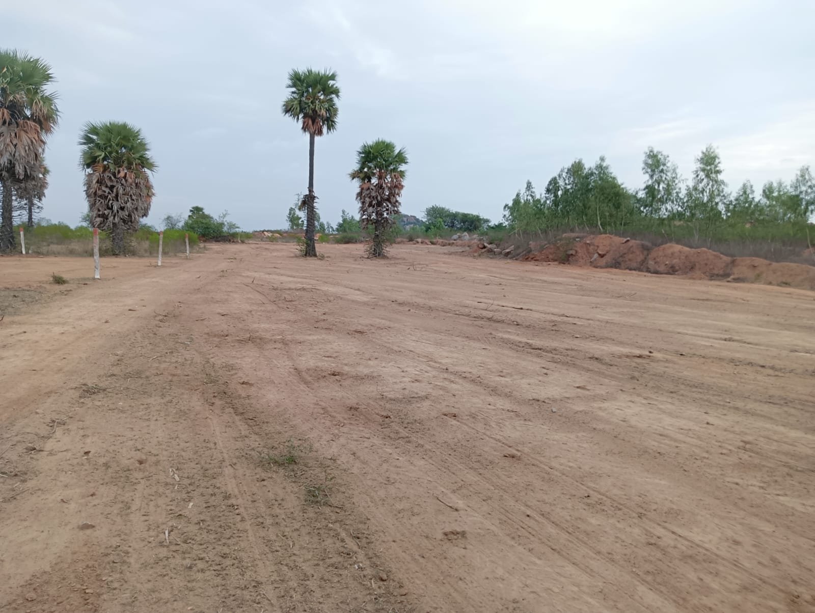 Open Land For Sale