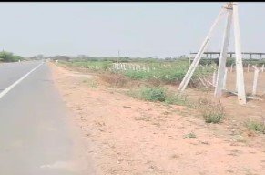 Agari Culture Land 41eakr Development