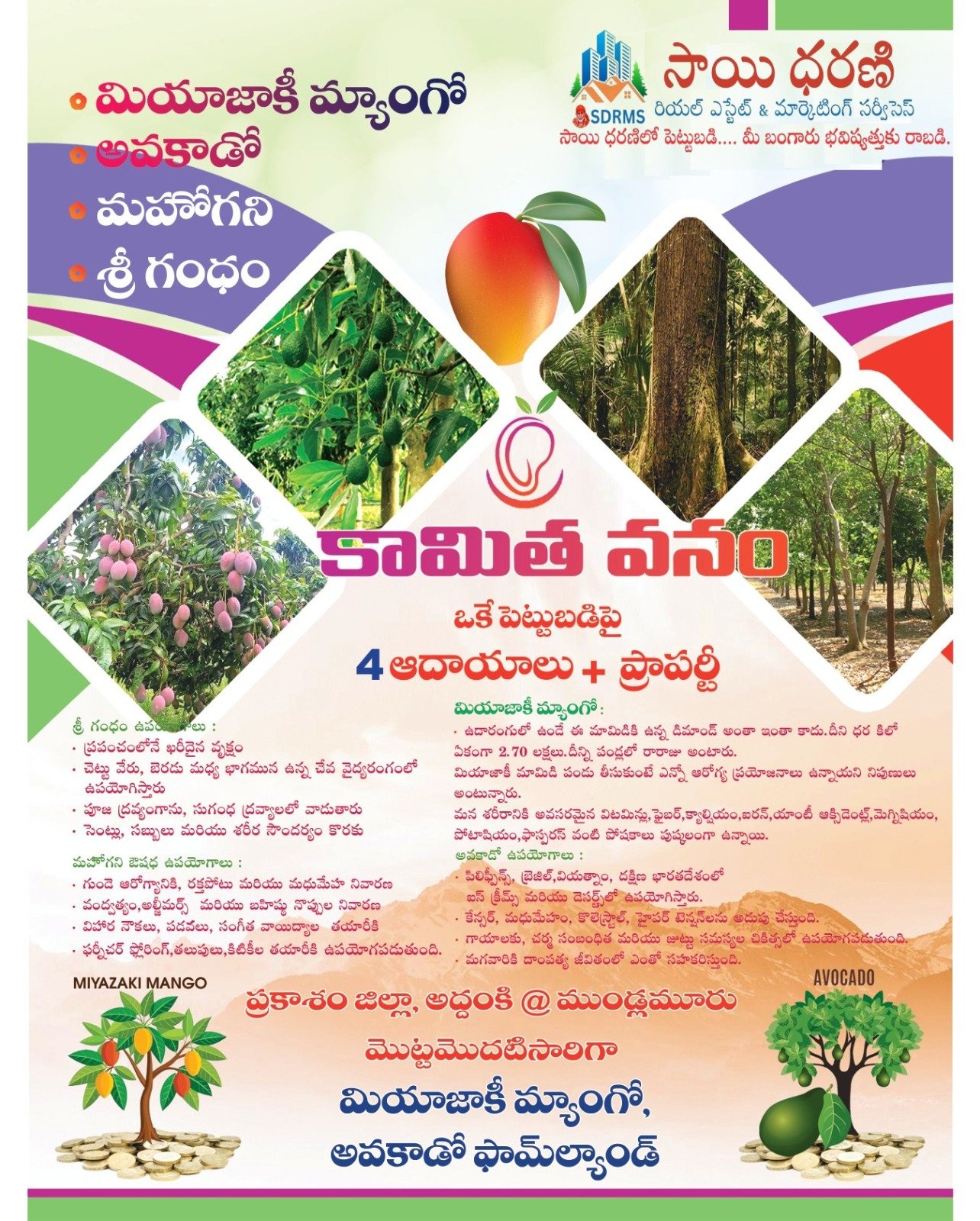 22 Cents KAMITHA VANAM