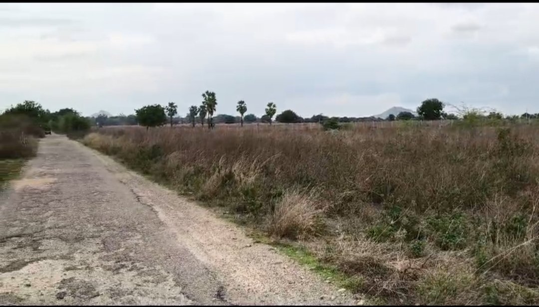 Agriculture Land for sale
