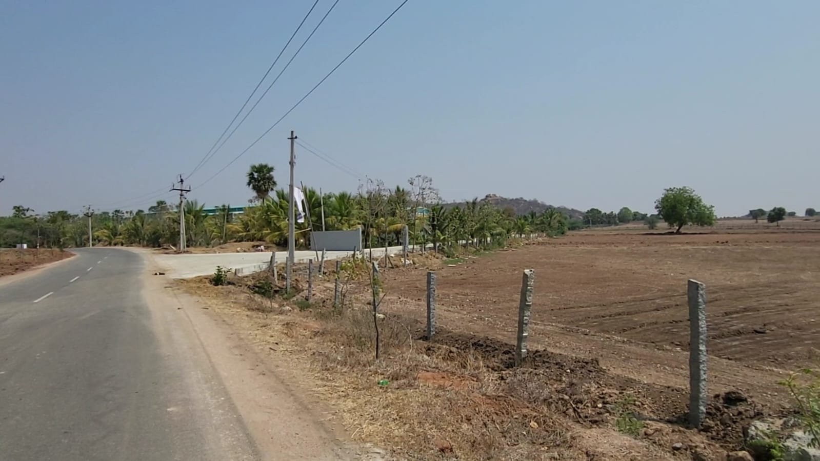 Farm Land with Road facing