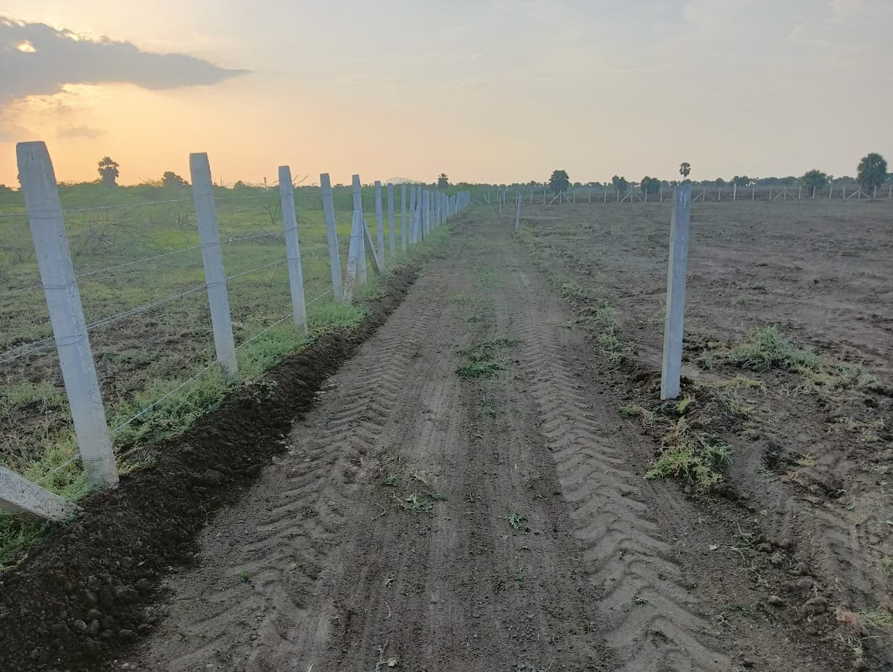 Agriculture Land For Sale
